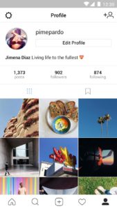 Das persönliche Profil bei Instagram Lite