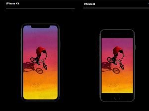 Apple iPhone Xr Vergleich zum iPhone 8